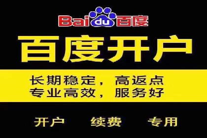 揭秘SEM竞价托管：实战案例深度解析